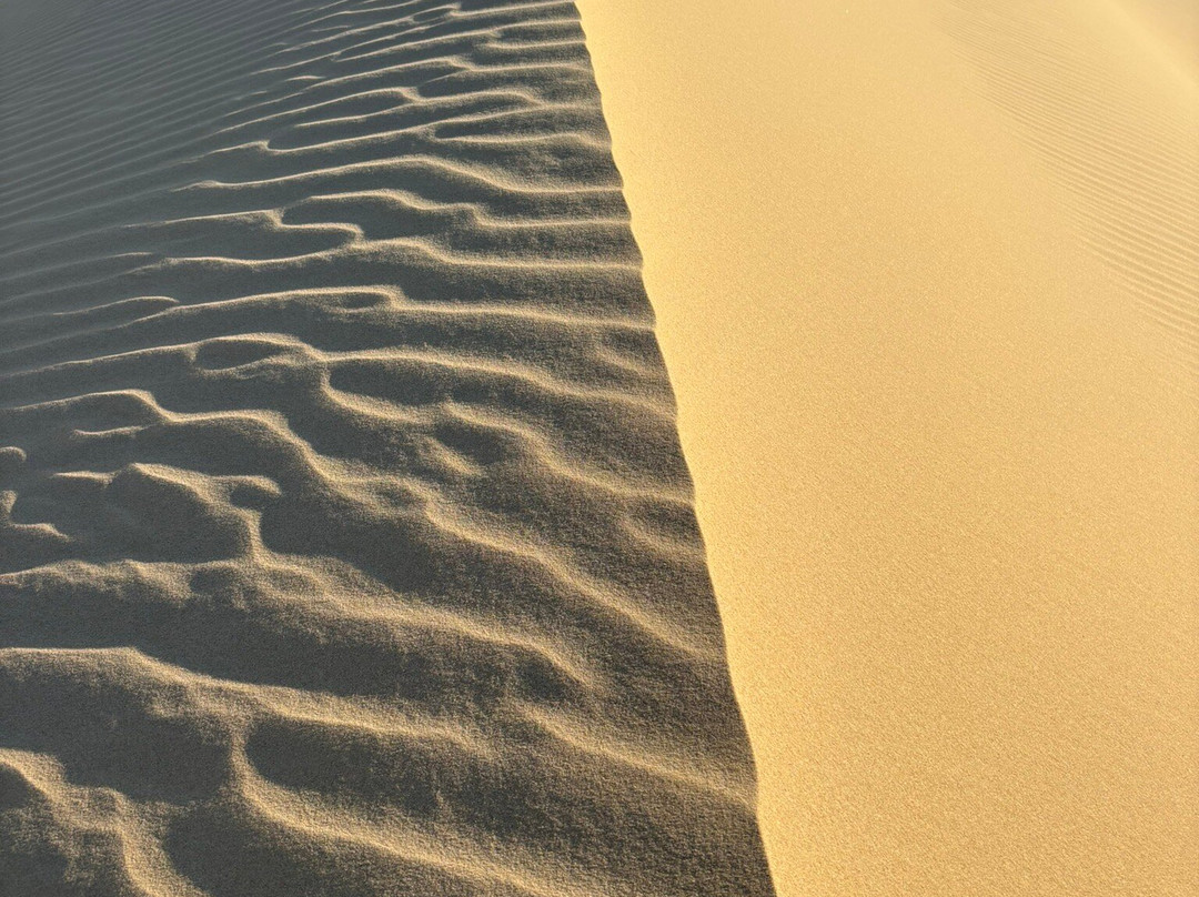 Explore Fayoum Tours-法尤姆必去景点