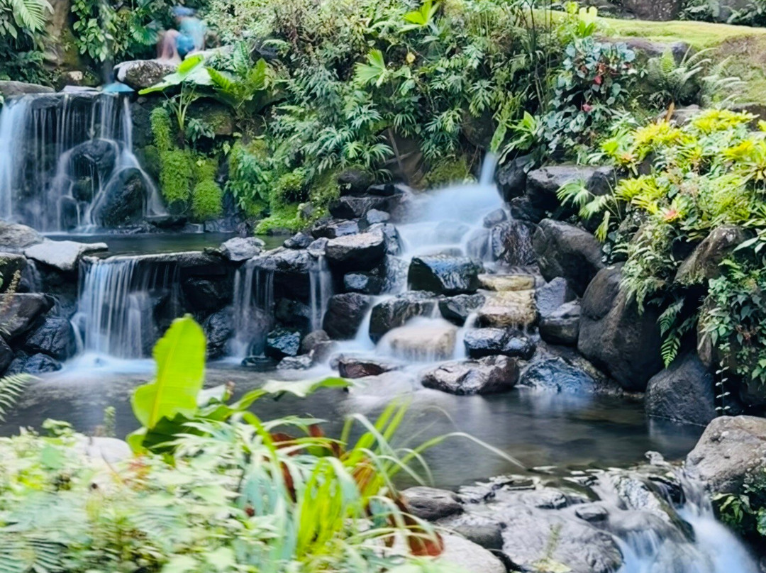 Kurú Natural Springs-福德圣卡洛斯必去景点