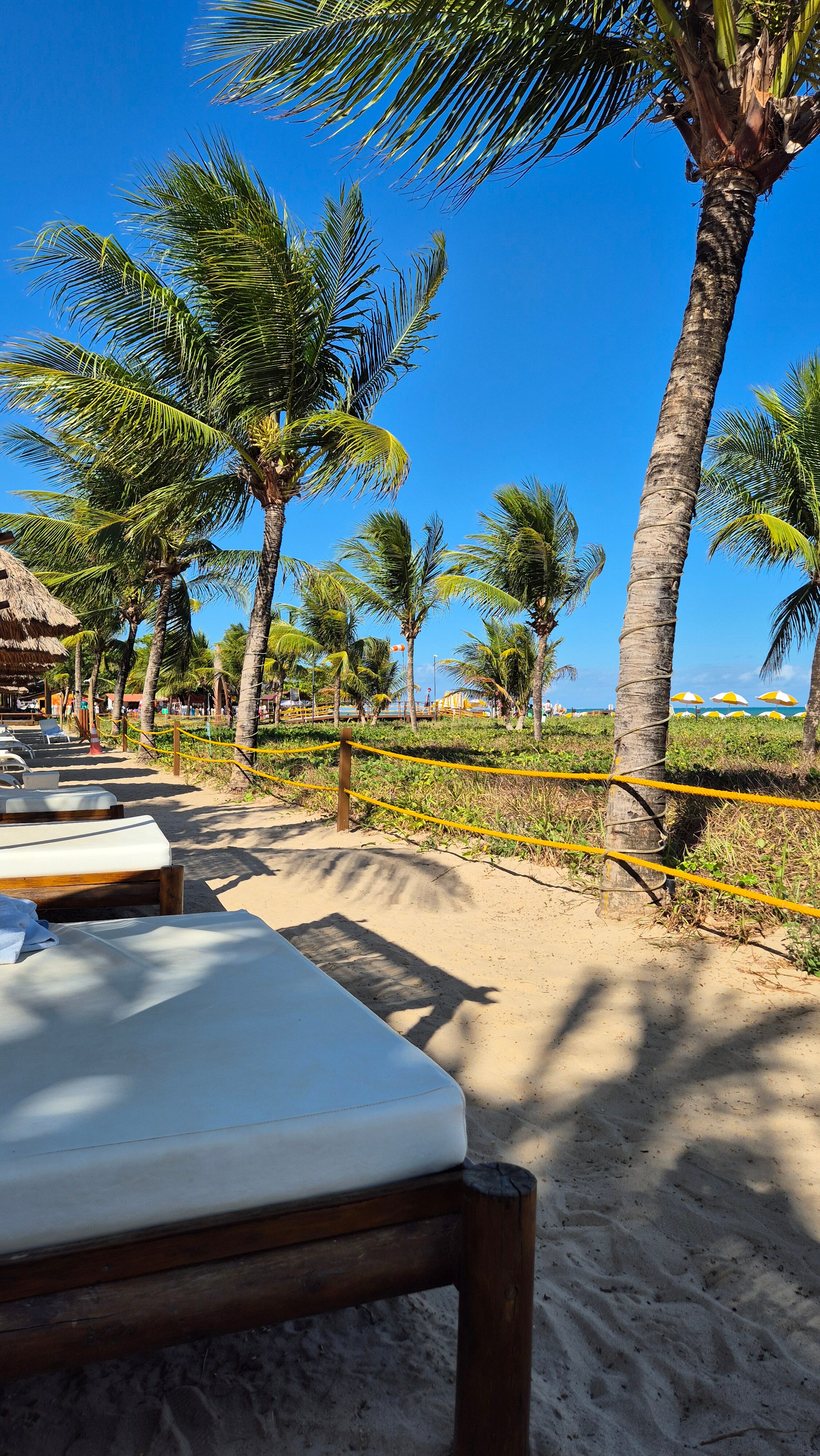 萨利纳斯杜马拉戈日全包度假村-泳池