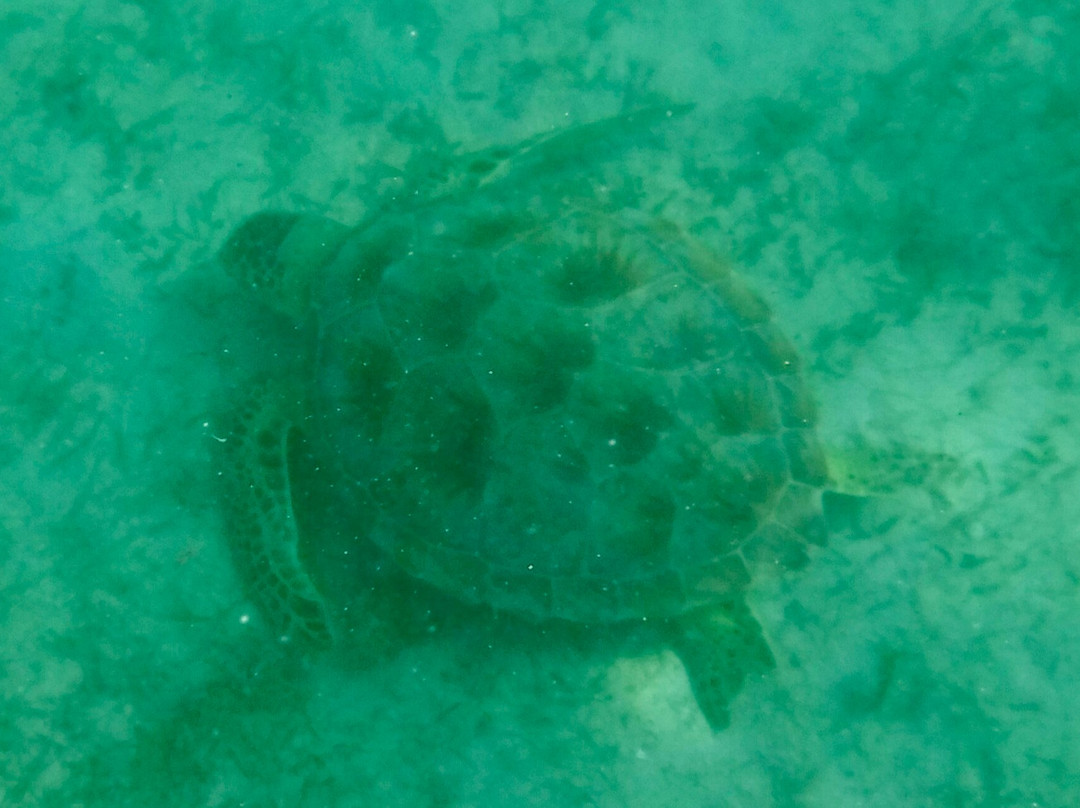 Brewer's Bay-圣 托马斯必去景点