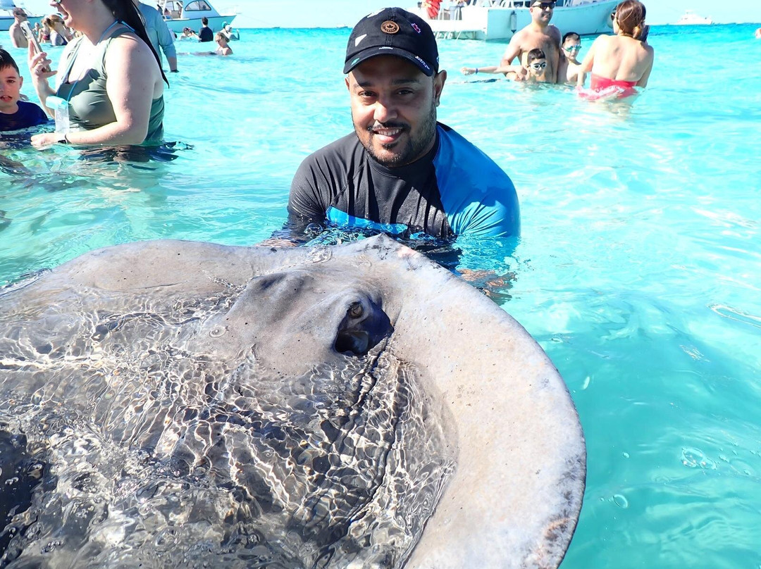 Anchor Tours-西湾必去景点