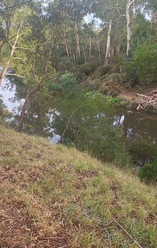 渥伦泰德省立公园-墨尔本必去景点
