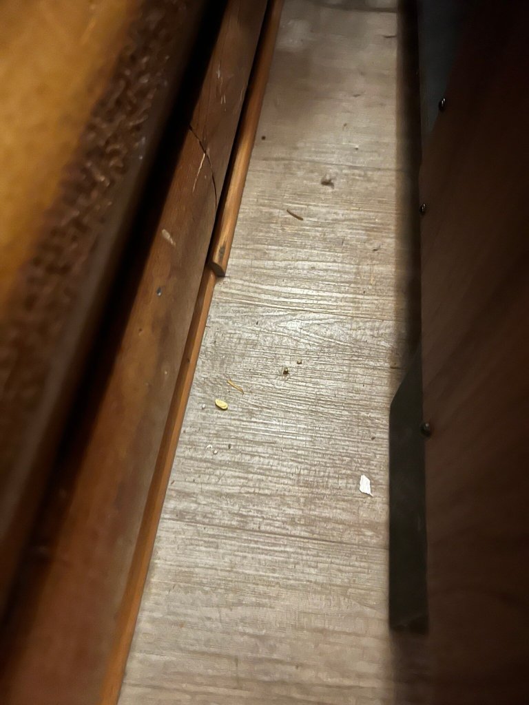 月半湾度假酒店-官方