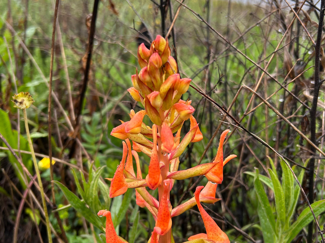 Chikanda Safaris & Adventure-Uyole必去景点