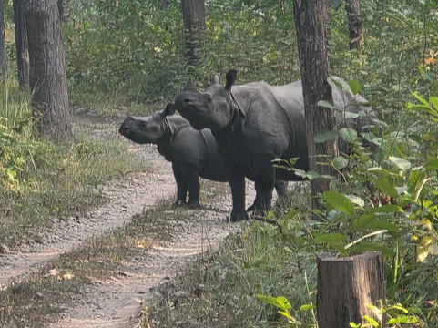 Adventure Wonders-加德满都必去景点