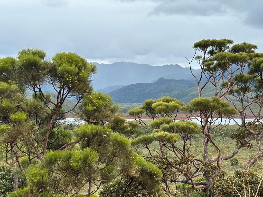 Toutazimut-努美阿必去景点