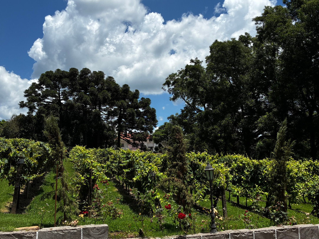 Vinicola Peterlongo-Garibaldi必去景点