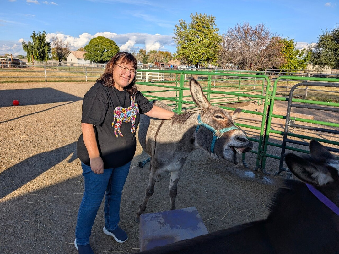 Desert Donkey Experiences-Queen Creek必去景点
