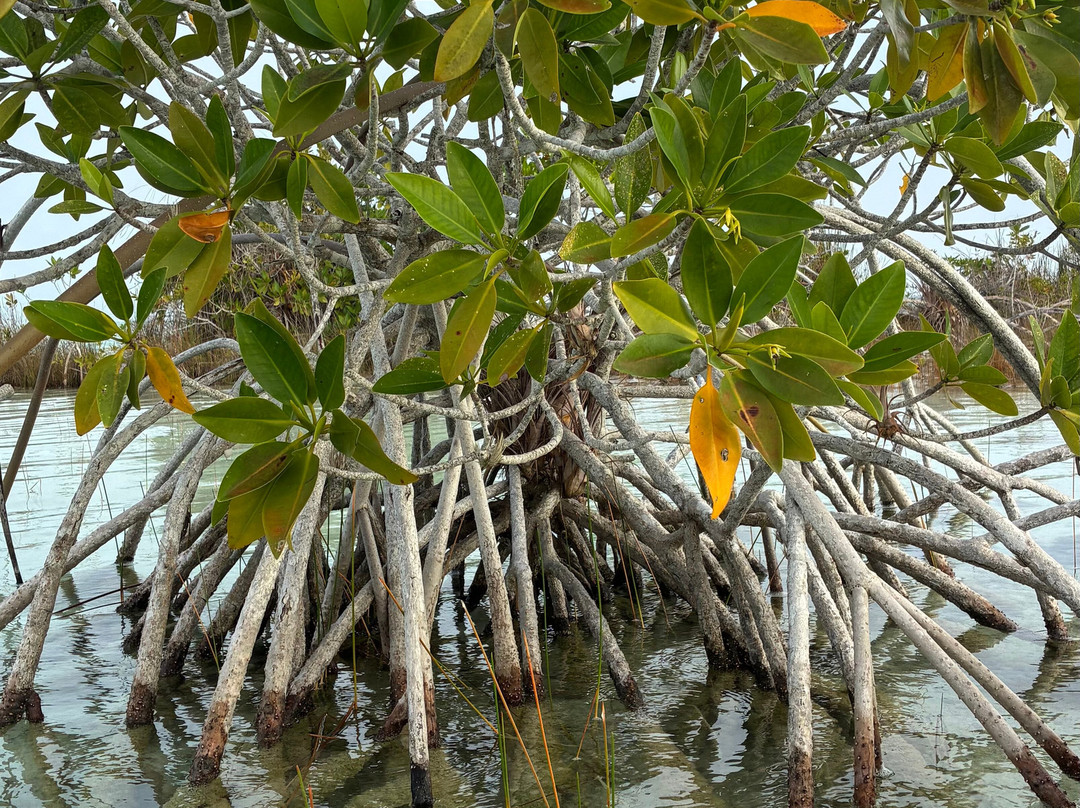Active Nature Bacalar-Bacalar必去景点
