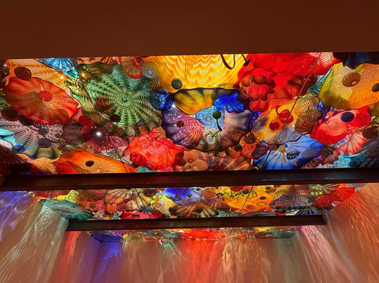 俄克拉荷马城市艺术博物馆-俄克拉何马城必去景点