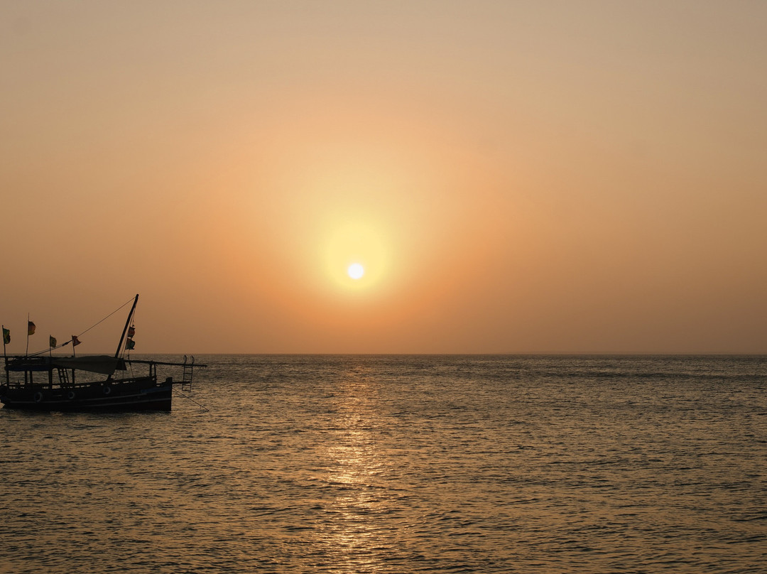 Nomadic Sails-Wasini Island必去景点