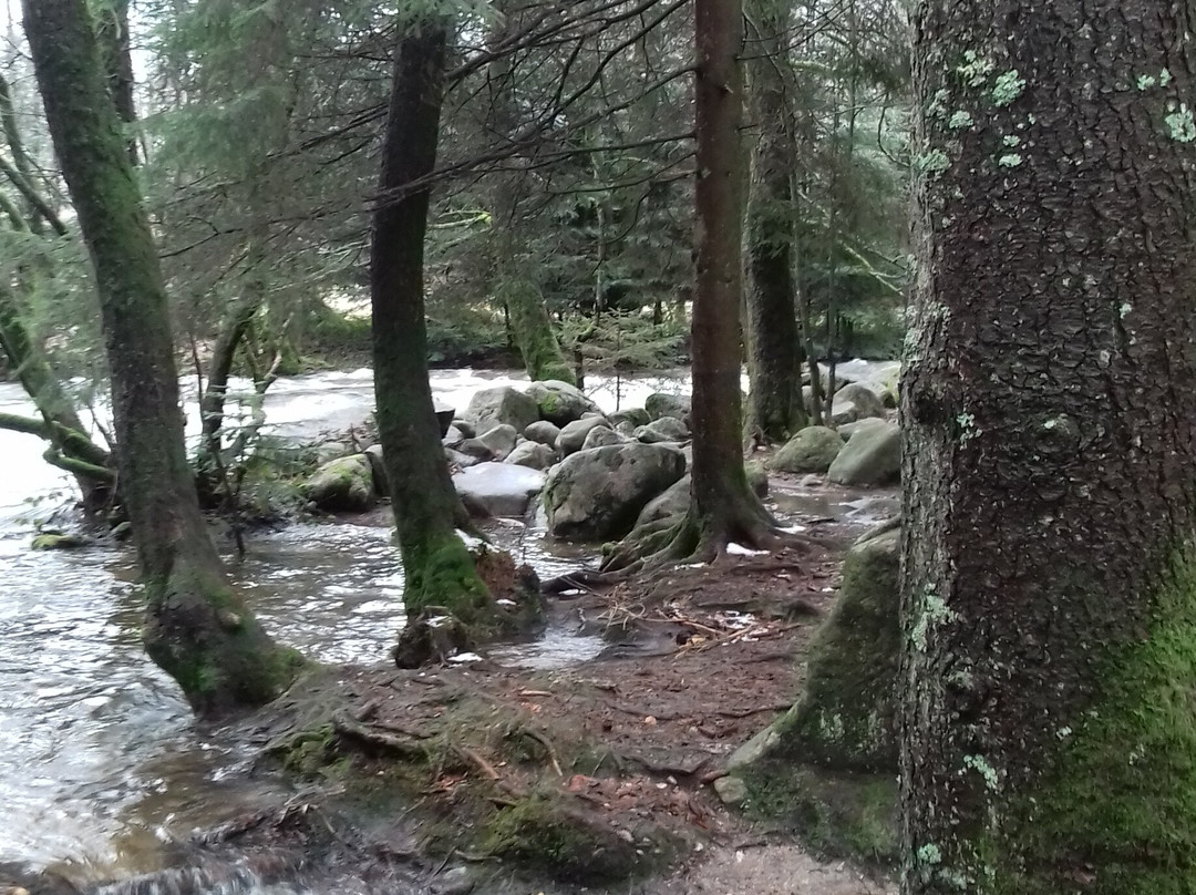 Le Saut des Cuves-热拉尔德梅必去景点