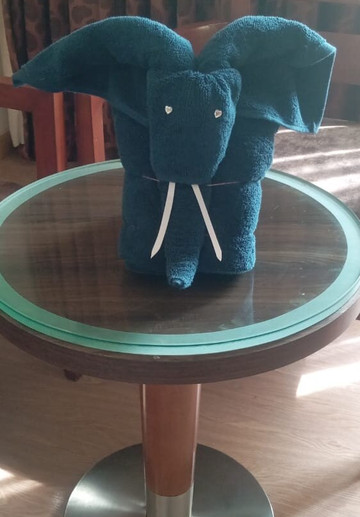 哥印拜陀公园广场酒店主图