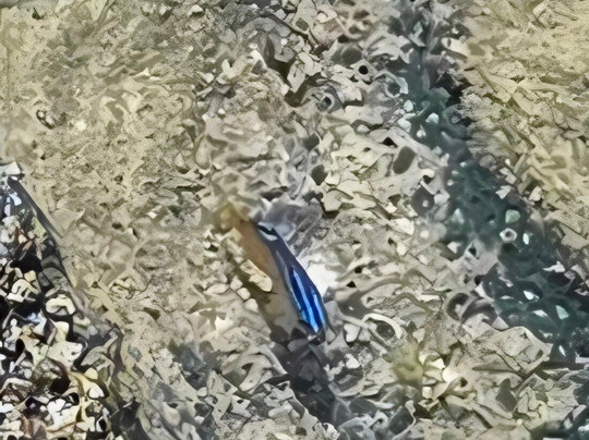 Enseada dos Corais Beach-Cabo de Santo Agostinho必去景点