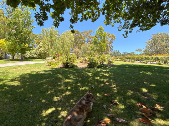 Cobb's Hill Estate-Oakbank必去景点