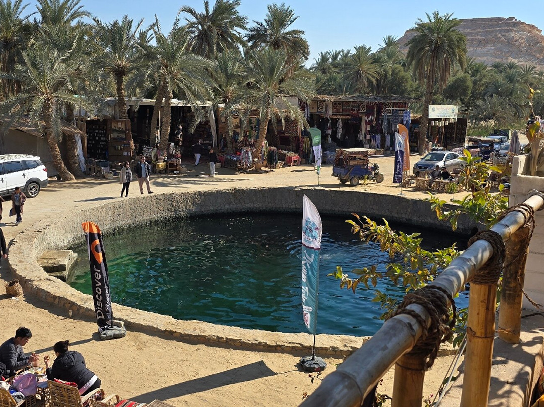 Cleopatra's Pool - Spring of Juba-西瓦必去景点