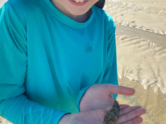 Conchas Beach-Barra de Sao Miguel必去景点