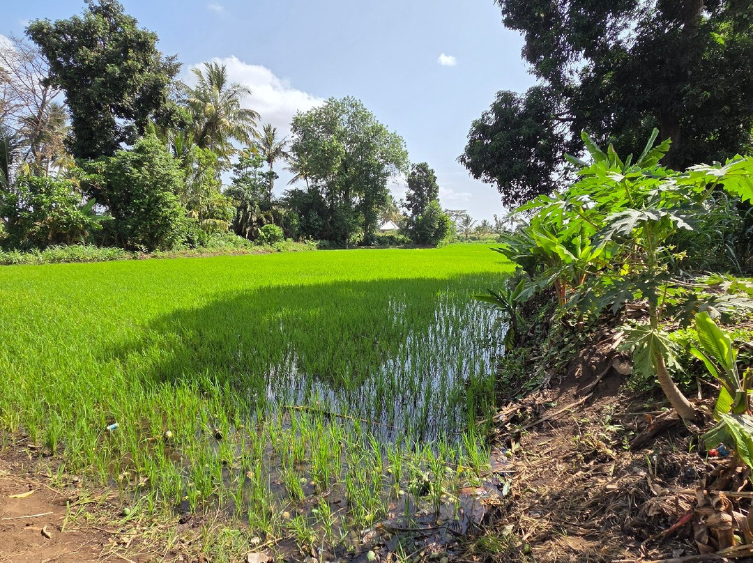 Rau Eco & Cultural Tourism Enterprise-莫西必去景点