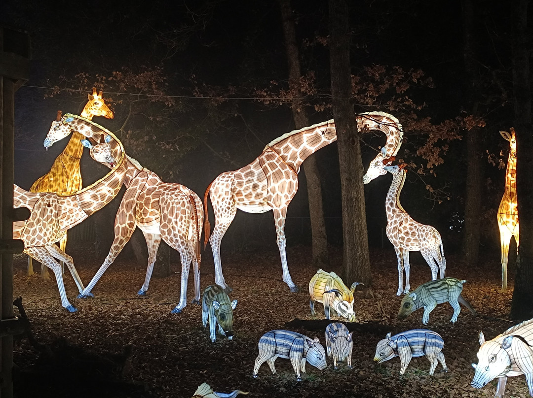 Safari De Peaugres-Peaugres必去景点