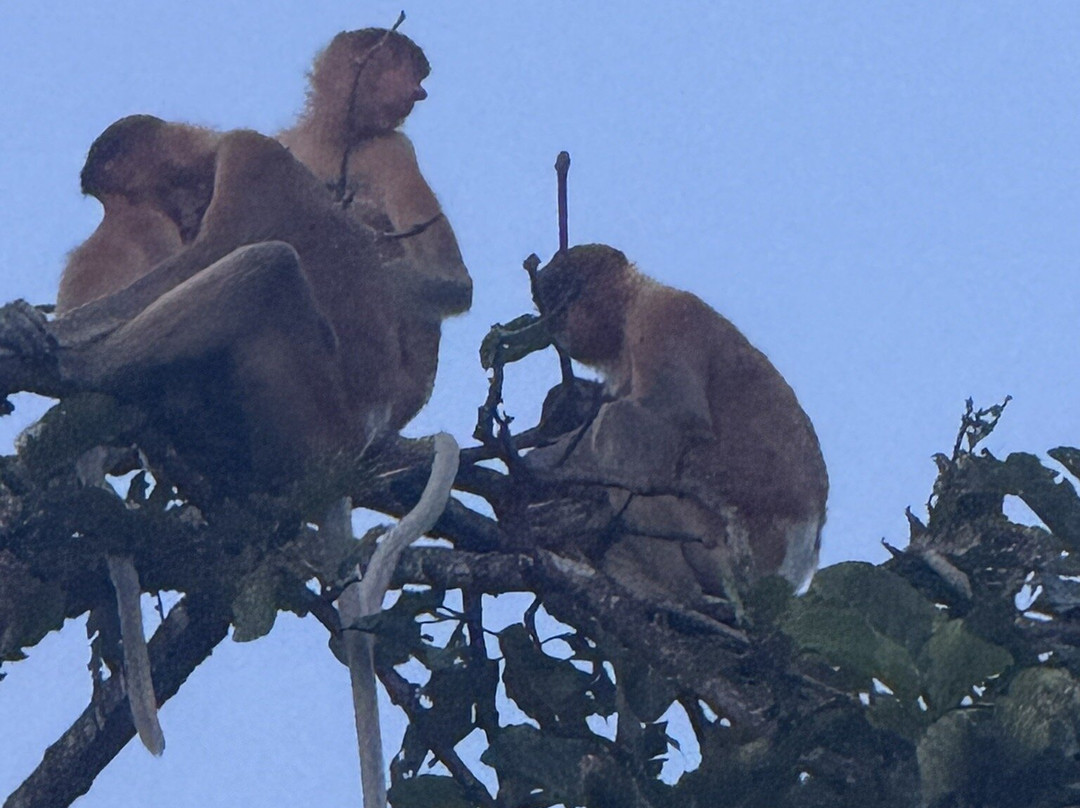 Osman's Homestay主图