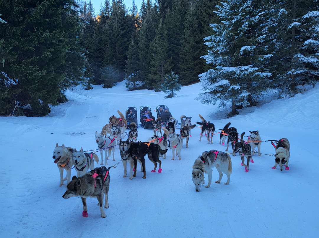Annecy Aventure-安纳西必去景点