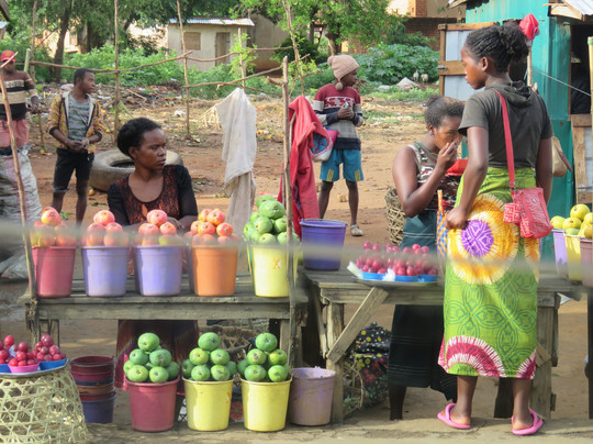 Madagascar Green Tours-安齐拉贝必去景点