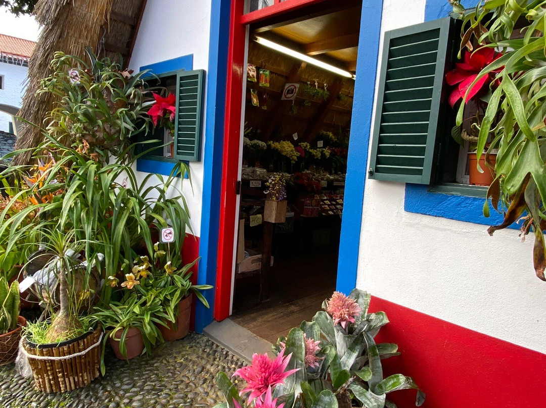 Parque Tematico Madeira-Santana必去景点