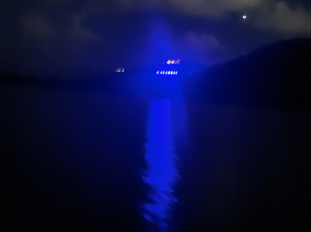 Virgin Kayak Tours-圣克鲁斯必去景点