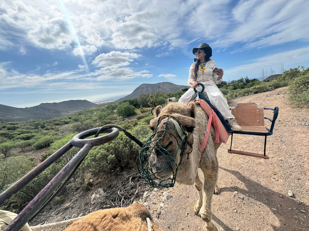 Camel Park-阿罗纳必去景点