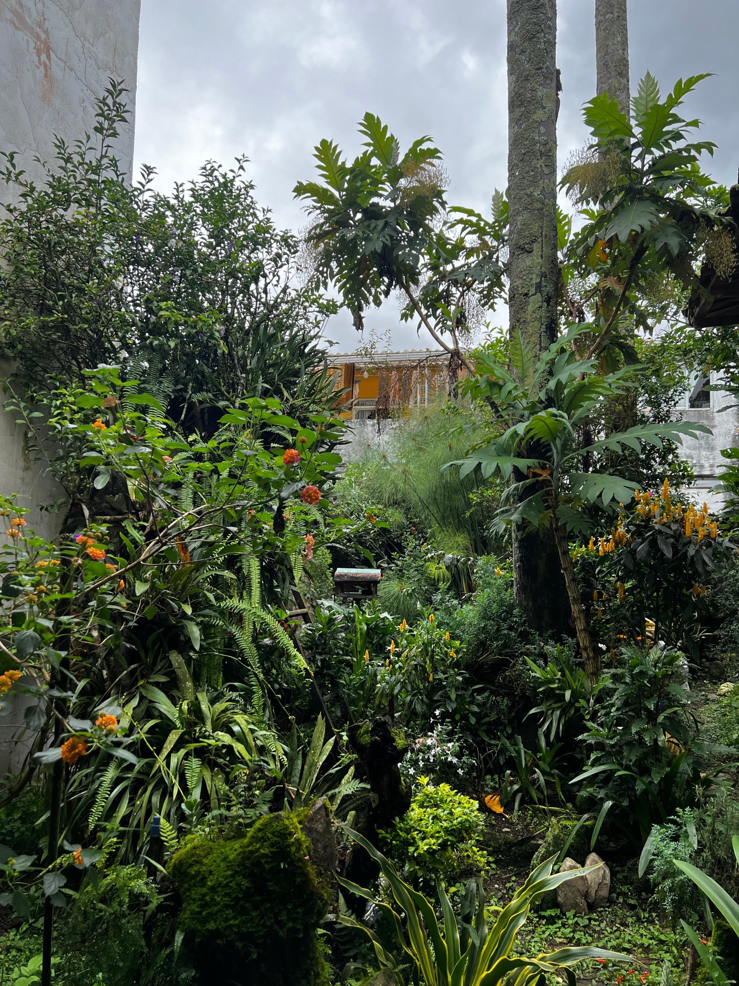 Alojamiento: La Pequeña Casa Pijao-浴室