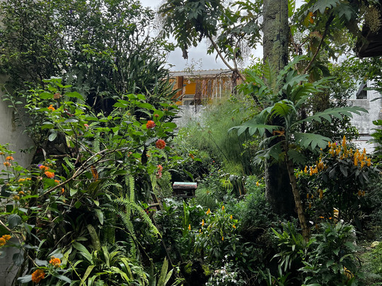 Alojamiento: La Pequeña Casa Pijao主图