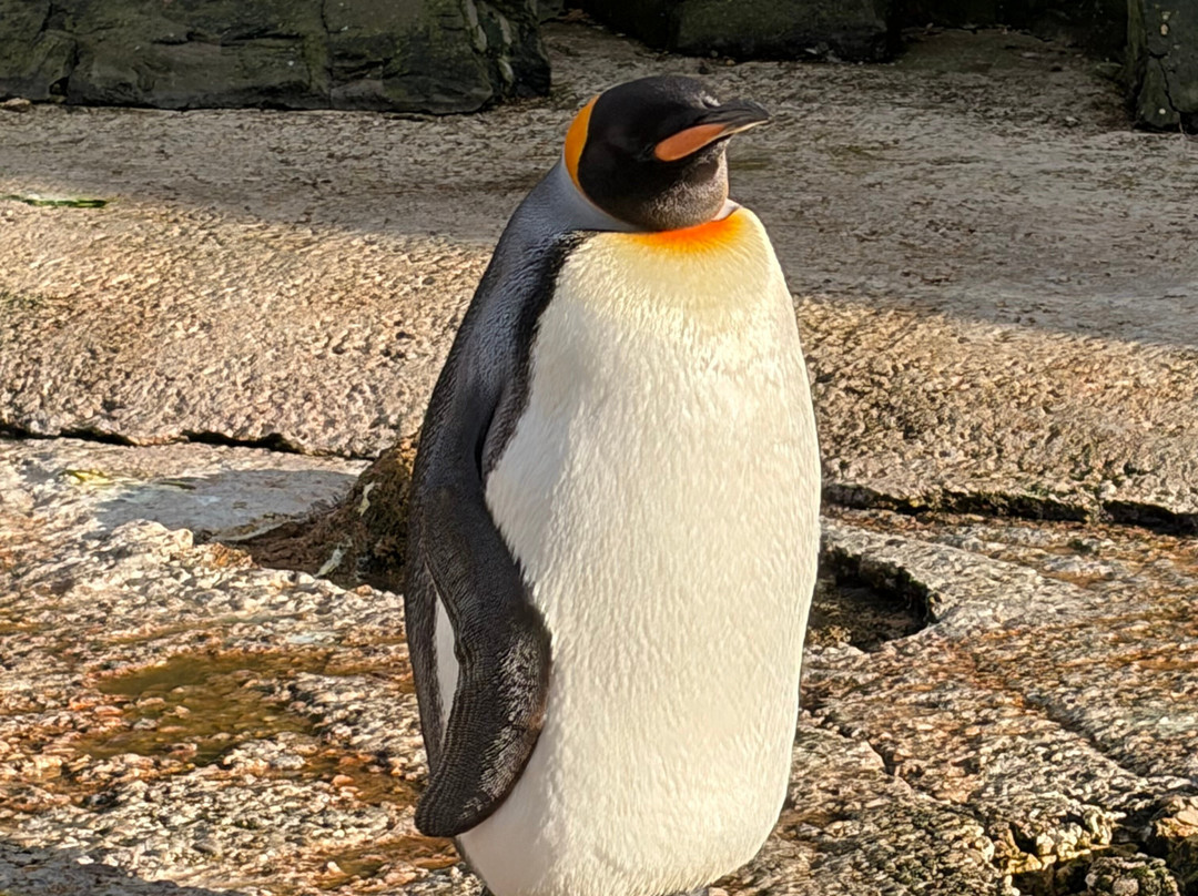 鸟园-水上伯顿必去景点