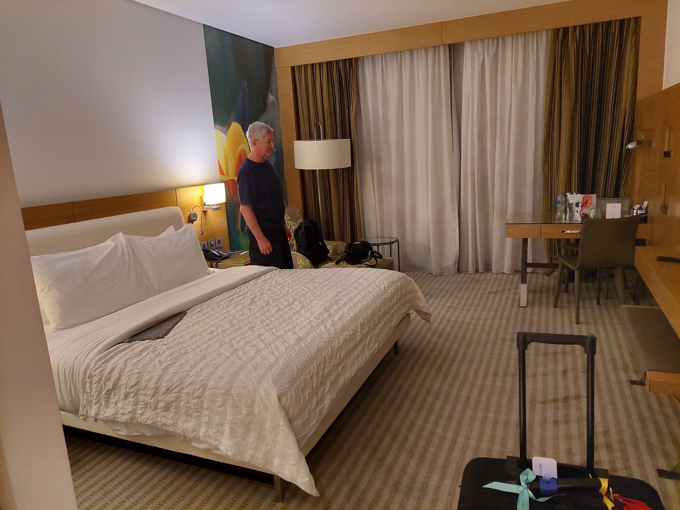 Le Méridien Cairo Airport-客卧