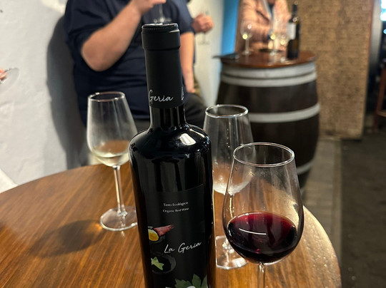 Wine Tours Lanzarote-卡门港必去景点