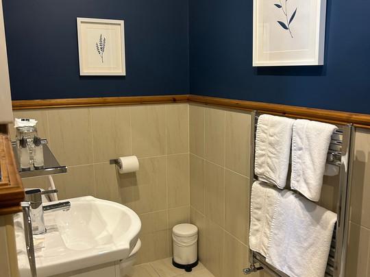 Royal Hotel Valentia主图