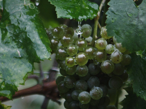 Fantinel-Spilimbergo必去景点