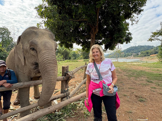 MandaLao Elephant Conservation-琅勃拉邦必去景点