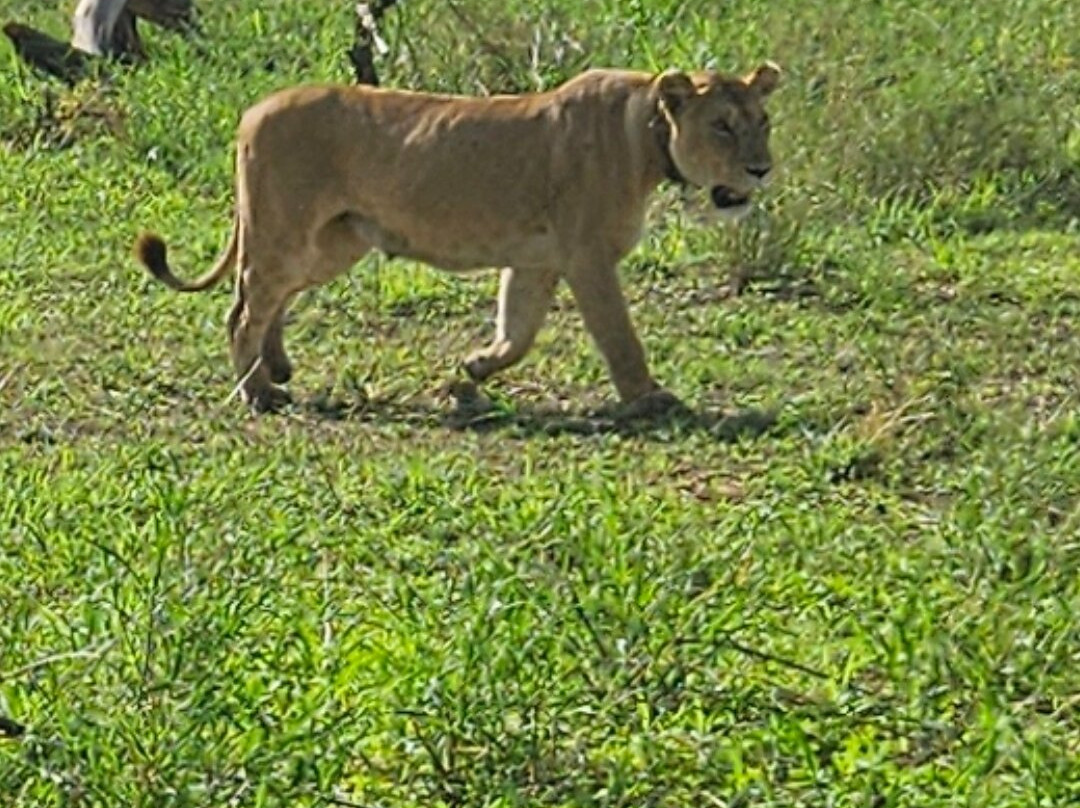 Unlimited Expeditions - The Soul Of Tanzania-阿鲁沙必去景点