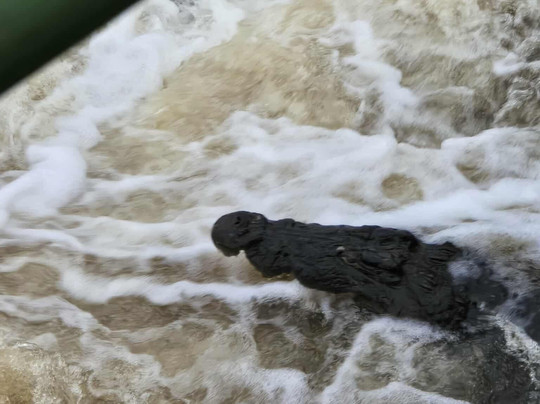 CD Tours - Day Trips-马里兰必去景点