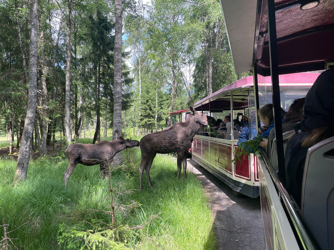 Smålandet Markaryds Älgsafari-Markaryd必去景点