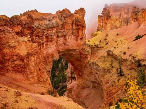 Natural Bridge-布莱斯必去景点