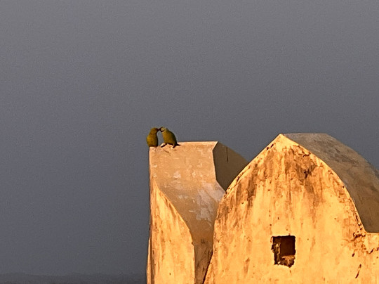 Sardargarh Heritage Fort主图