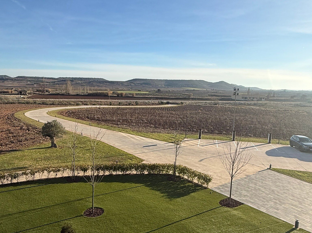 Bodega - Hotel FyA-Navarrete必去景点