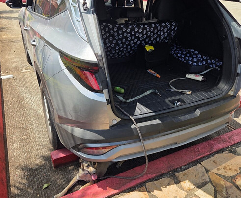 Panachi-布卡拉曼加必去景点