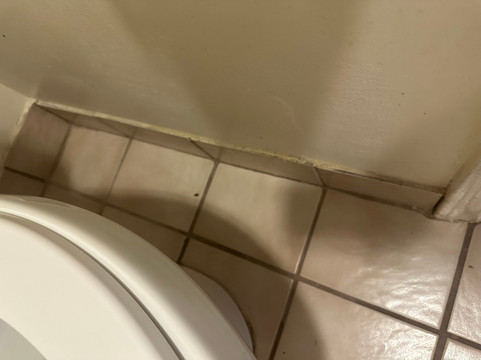 Days Inn by Wyndham Picayune主图