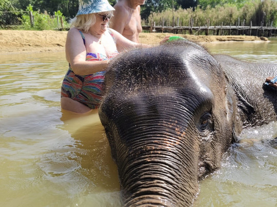 The Lake Phuket Elephant Home-Thep Krasatti必去景点