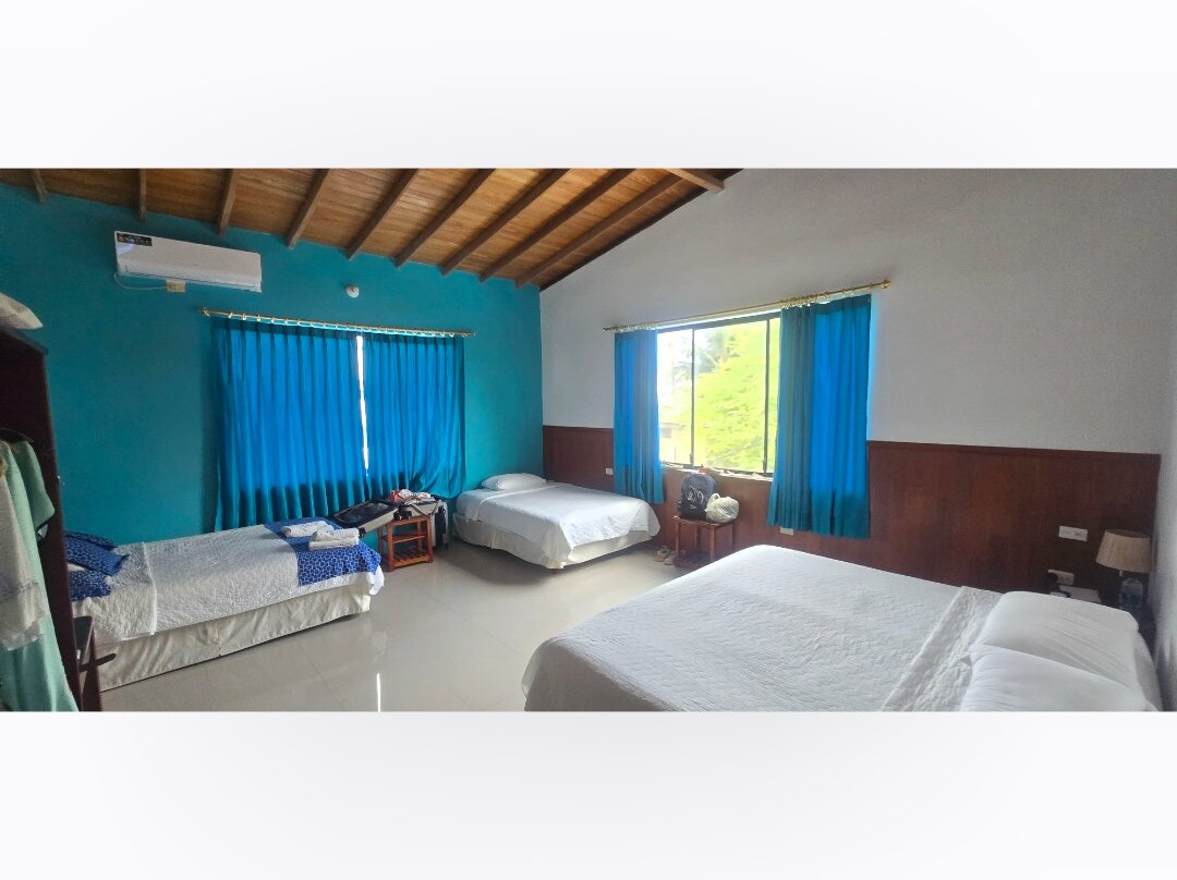 La Gran Tortuga主图