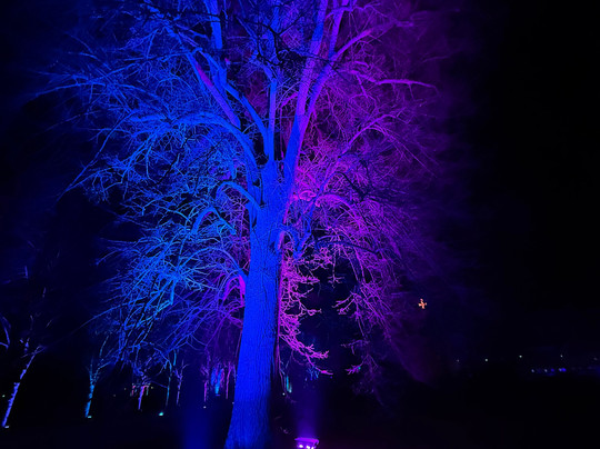 Bad Pyrmont Kurpark-Bad Pyrmont必去景点