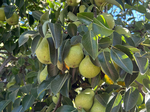 科尔查瓜美景索拉兹精品酒店主图