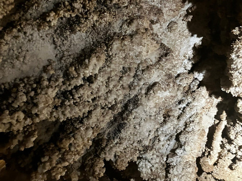 Mercer Caverns-Murphys必去景点